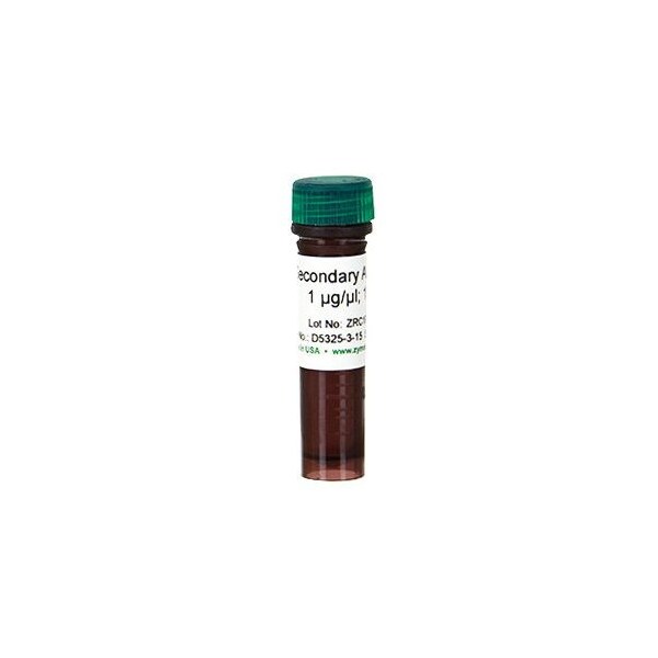 Secondary Antibody 15 ul at 1 ug/ul